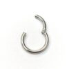 20240801_113440_a4983399-3926-40ad-8b45-5778ee9386bd Titanium Clicker Septum, Daith Ring, Helix Cartilage Piercing - 20g 18g 16g 14g 12 10g 8g Nose Ring - Segment Hinged Ring