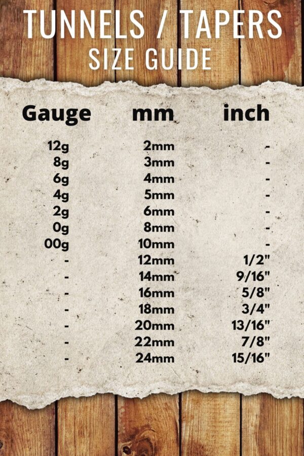 Ear Stretching Kit, Titanium Double Flared Plugs, Threaded Tunnel Jewelry  - 2mm to 24mm Size - Ear Gauges, Ear Plugs