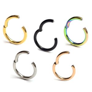 SEG-HING-ALL-3 Titanium Lip Ring, Lip Hugger - 20g 18g 16g 14g Lip Piercing Hinged Ring - Clicker Hoops Steel, Gold, Rosegold, Black, Rainbow