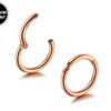 Titanium Clicker Septum, Daith Ring, Helix Cartilage Piercing - 20g 18g 16g 14g Nose Ring - Steel, Gold, Rosegold, Black, Rainbow