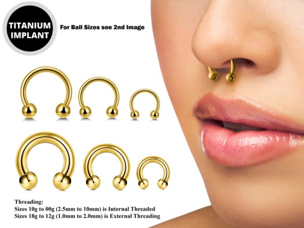 Titanium Horseshoe Ring Piercing 18g to 00g Gold Septum Jewelry Bull Piercing Also for Nipple, PA Ring, Lips - Internal or External Threaded