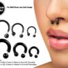 Titanium Horseshoe Ring Piercing 18g to 00g Black Septum Jewelry Bull Piercing Also for Nipple, PA Ring, Lips Internal / External Threaded