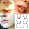 Rainbow Spike Horseshoe Ring Piercing 18g 16g 14g Cone Titanium Septum Jewelry Bull Piercing Also for Nipple, PA Ring and Lips