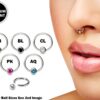 Titanium Captive Bead Ring Nose Septum Piercing 18g 16g 14g Nose Ring with Gem Ball CZ Crystal - Also Piercing for Ears, Nipple, Helix Ring