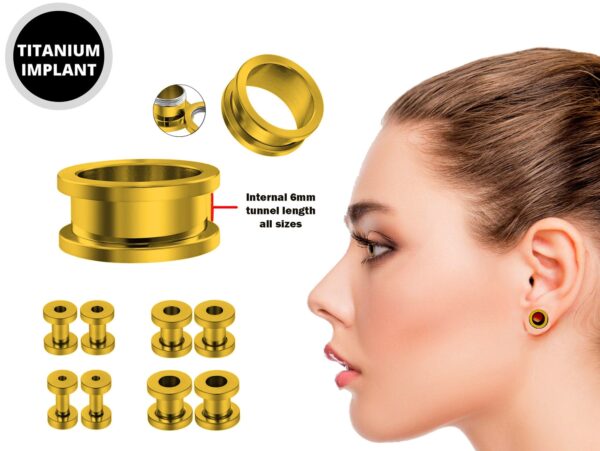 Titanium Steel Flesh Tunnel Plug Earrings - Screw back Ear gauges, Ear Stretching Kit - 8g 6g 4g 2g 0g 00g - Silver, Black, Gold & Rose Gold