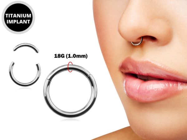 Titanium Seamless Segment Septum Ring, Daith Ring, Helix Cartilage Piercing - 18g (1.0mm) Thin Nose Ring