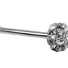 Straight Nose Stud Piercing, Titanium 20g Nose Pin with Fixed Ball CZ Crystals - Body Piercing for Nostril Stud, Nose Piercing, Nose bone