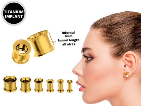 Titanium Steel Double Flare Not Screw Plugs Earring - Ear gauges, Ear Stretching Kit - 8g 6g 4g 2g 0g 00g - Gold & Rose Gold