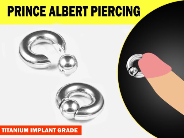 Prince Albert Piercing, Prince Albert Jewelry, PA Ring - Titanium Captive Bead Ring, Captive Prince 8G to 00G with Spring Ball Closure