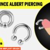 Prince Albert Piercing, Prince Albert Jewelry, PA Ring - Titanium Captive Bead Ring and Horseshoe Circular Barbell - 2pcs