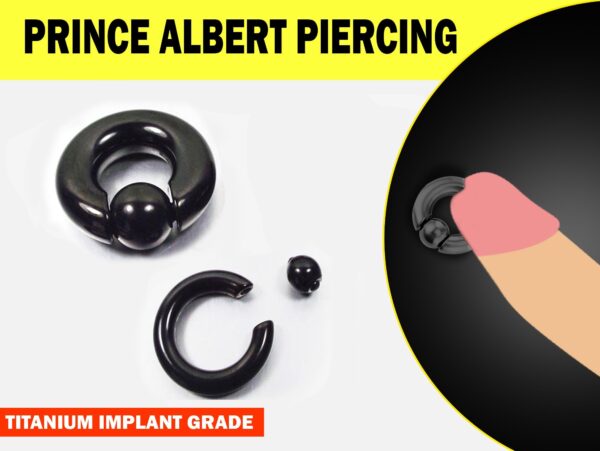 Black Prince Albert Piercing, Prince Albert Jewelry, PA Ring - Titanium Captive Bead Ring, Captive Prince 8G to 00G with Spring Ball Closure