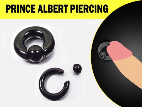 Black Prince Albert Piercing, Prince Albert Jewelry, PA Ring - Captive Bead Ring, Captive Prince 8G to 00G with Spring Ball Closure