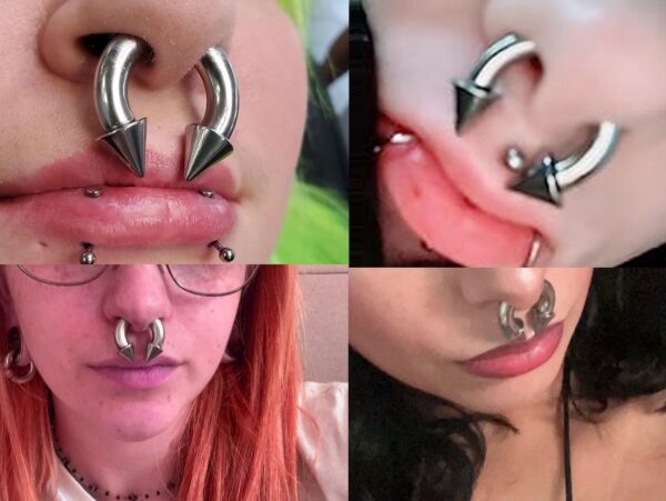 Rainbow Spike Septum Piercing Internally Threaded Horseshoe Barbell CBB/BCR Big Gauge Septum Ring, PA Ring Combination - British Standard