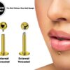 Titanium Gold Labret Stud Piercing 18g 16g 14g Lip Piercing External or Internally Threaded for Tragus Helix Cartilage Madonna Medusa Labret