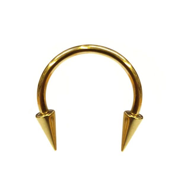 il_fullxfull.6018504232_iern Titanium Spike Gold Circular Barbell Internally Threaded 16G 14G Nose Ring Horseshoe Ring CBB/CBR Body Piercing