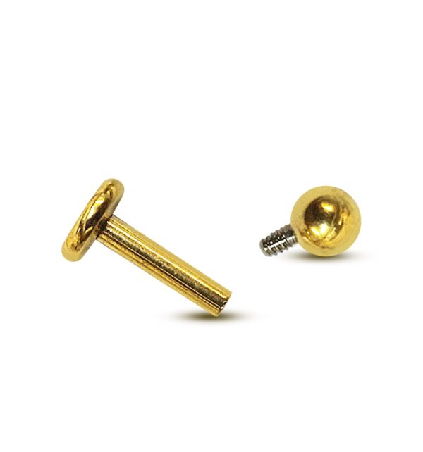 il_fullxfull.6027817846_6tmg Titanium Gold Labret Stud Piercing 16G 14G Internally Threaded Lip Jewellery, Lip Ring, Tragus Earring - 6mm to 12mm